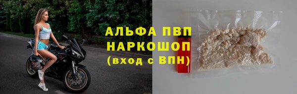 шишки Арсеньев
