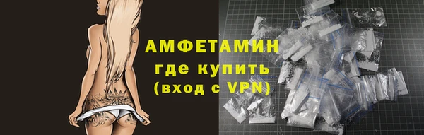 шишки Арсеньев