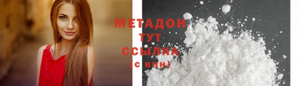 шишки Арсеньев