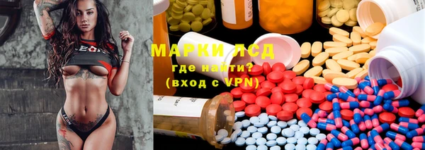 шишки Арсеньев