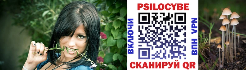 Галлюциногенные грибы Psilocybine cubensis Аркадак